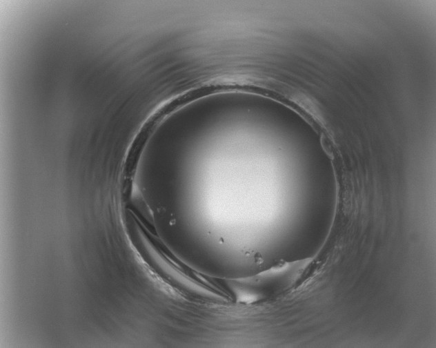 X0000067460984200604142320