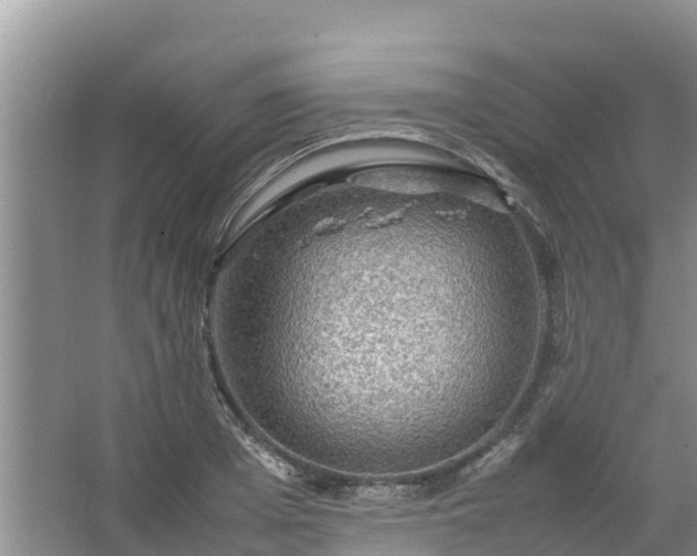 X0000067460985200604142320