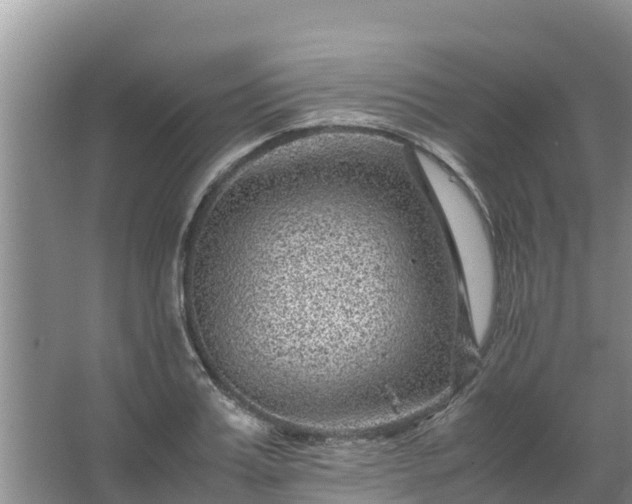 X0000067460987200604142320