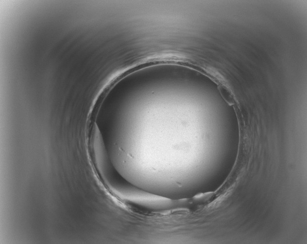 X0000067460989200604142320