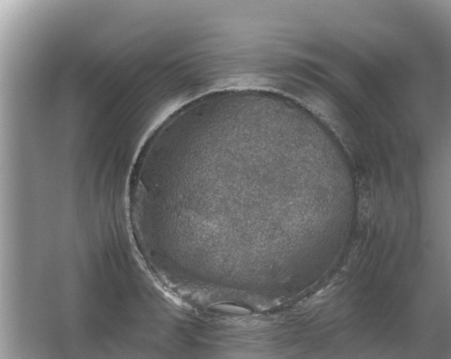 X0000067460990200604142320