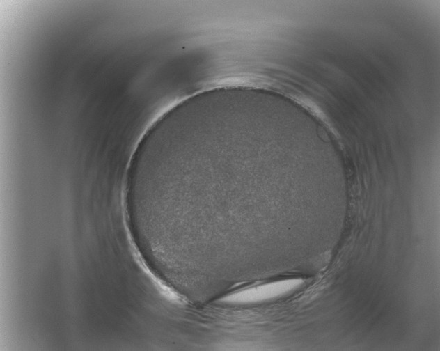 X0000067460991200604142320