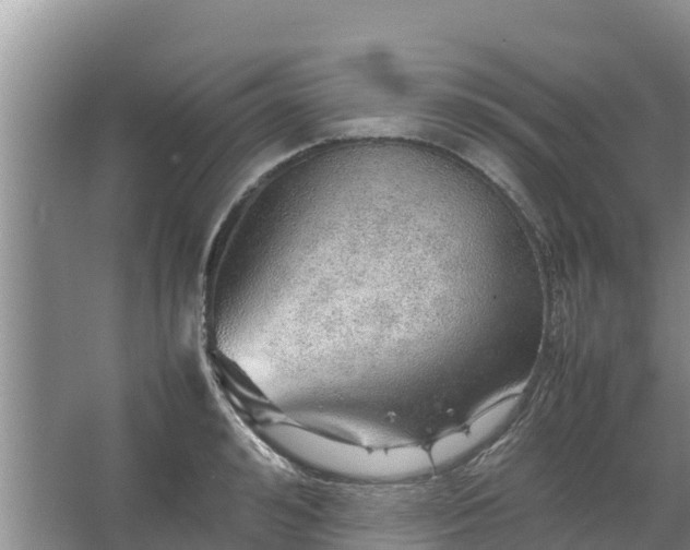 X0000067460992200604142320