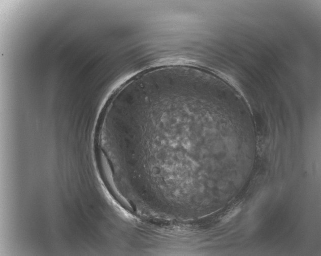 X0000067460995200604142320