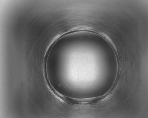 X0000067460997200604142320