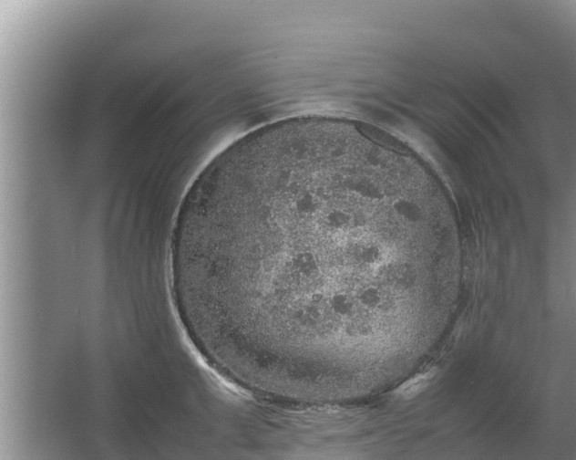 X0000067460999200604142320