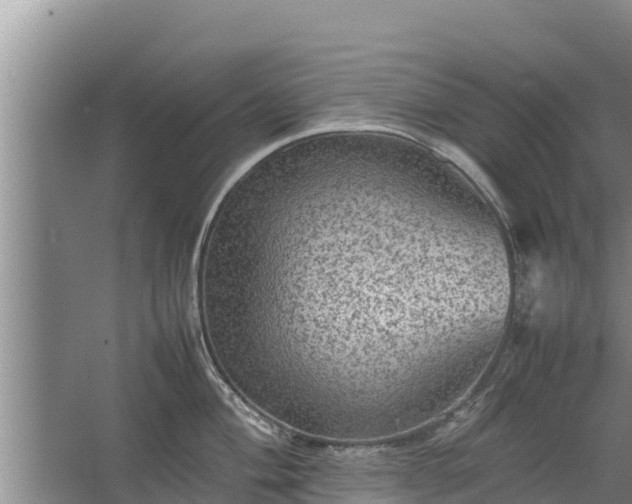 X0000067461004200604142320