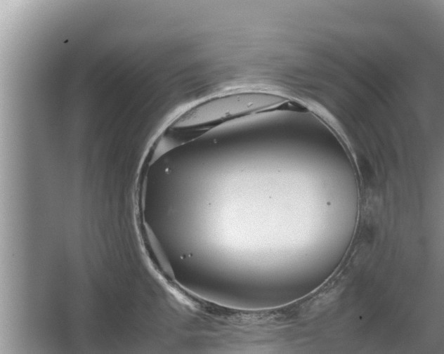 X0000067461005200604142320