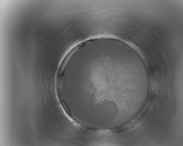 X0000067461006200604142320