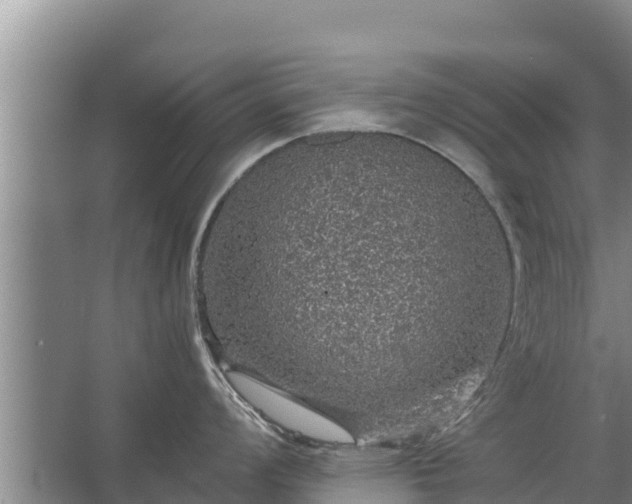 X0000067461008200604142320