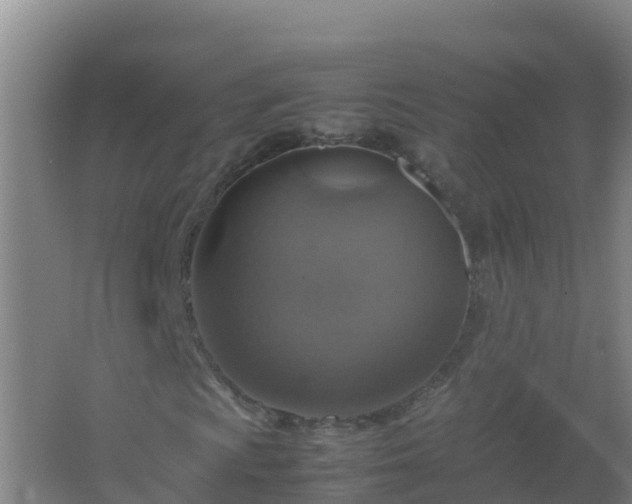 X0000067461009200604142319