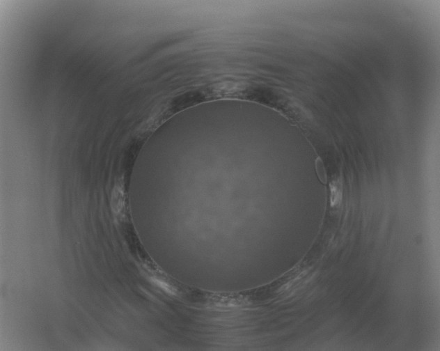 X0000067461011200604142319