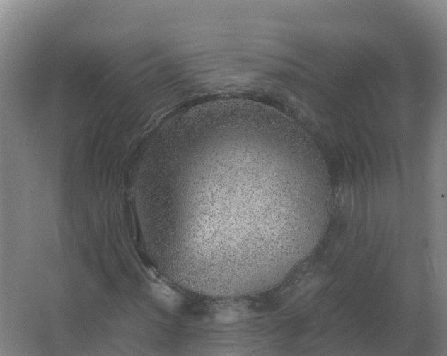 X0000067461012200604142319