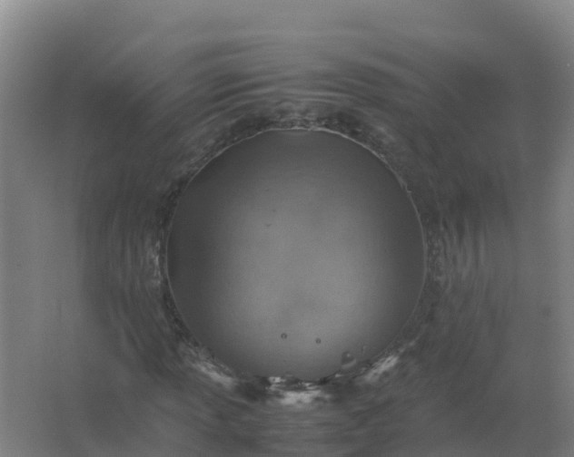 X0000067461013200604142319