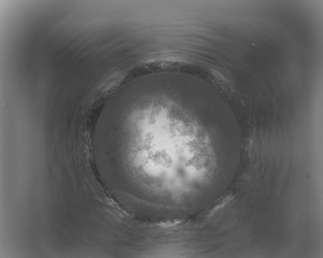 X0000067461014200604142319