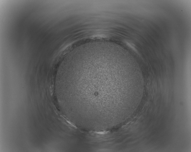 X0000067461015200604142319