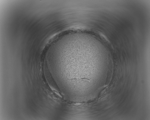 X0000067461016200604142319