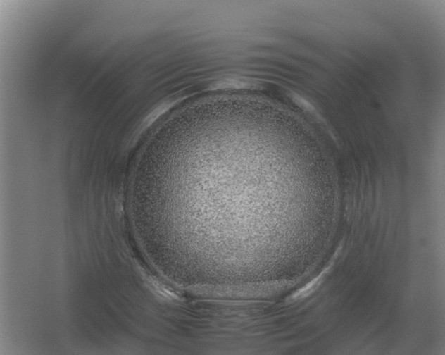 X0000067461017200604142319