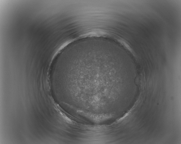 X0000067461018200604142319