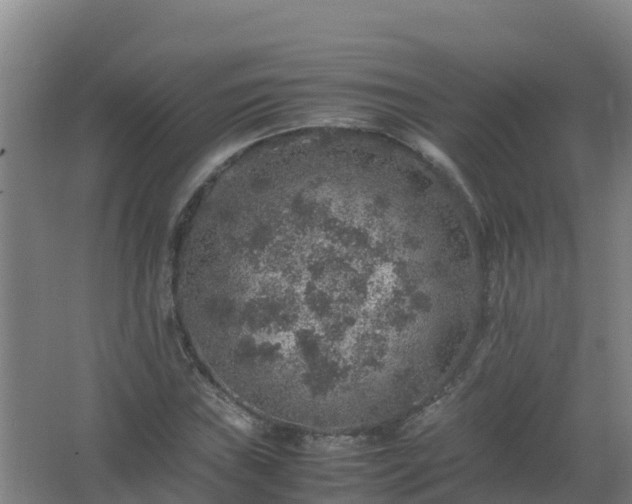 X0000067461019200604142319