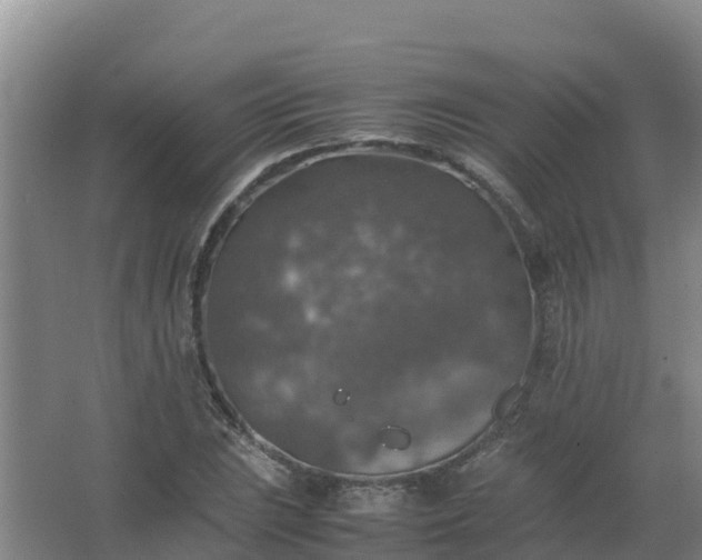 X0000067461023200604142319