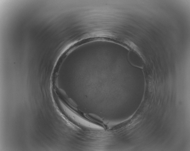 X0000067461024200604142319