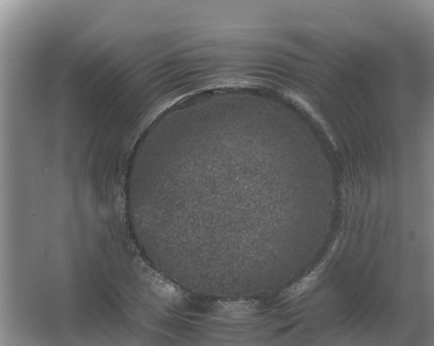 X0000067461025200604142319