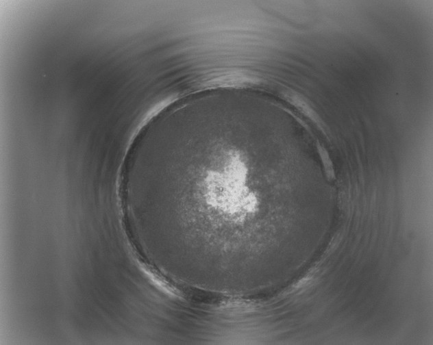 X0000067461026200604142319