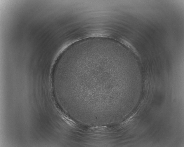 X0000067461027200604142319