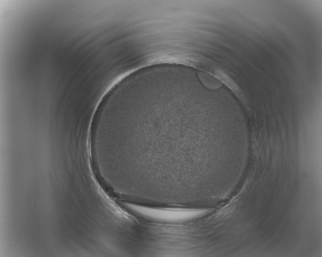 X0000067461028200604142319