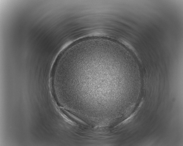 X0000067461029200604142319