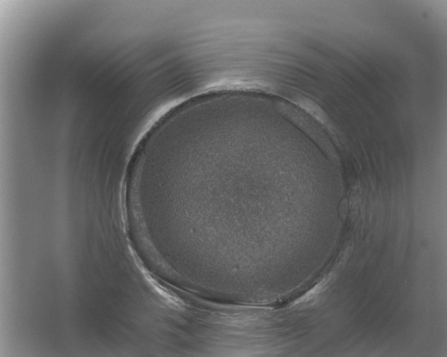 X0000067461030200604142319