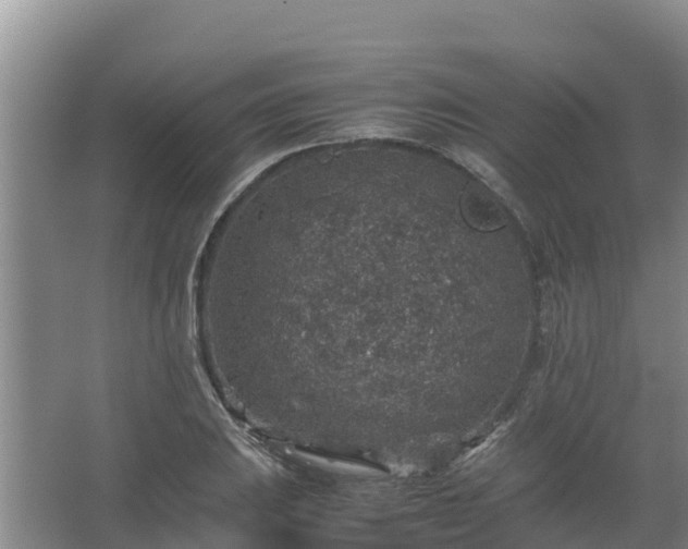 X0000067461031200604142319