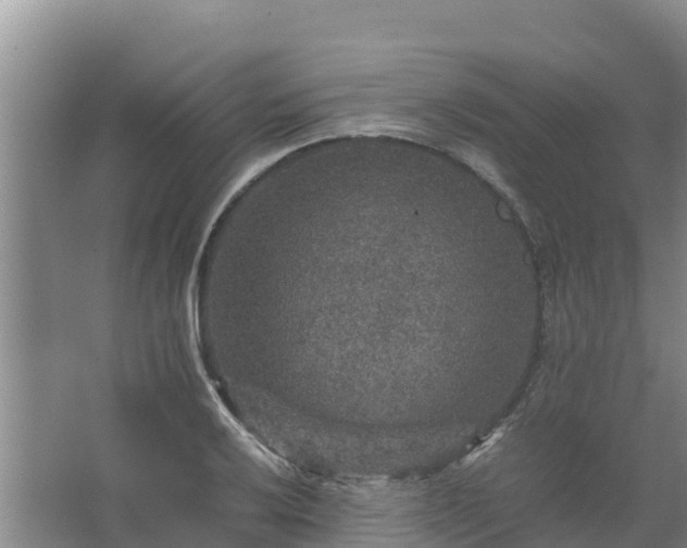 X0000067461032200604142319