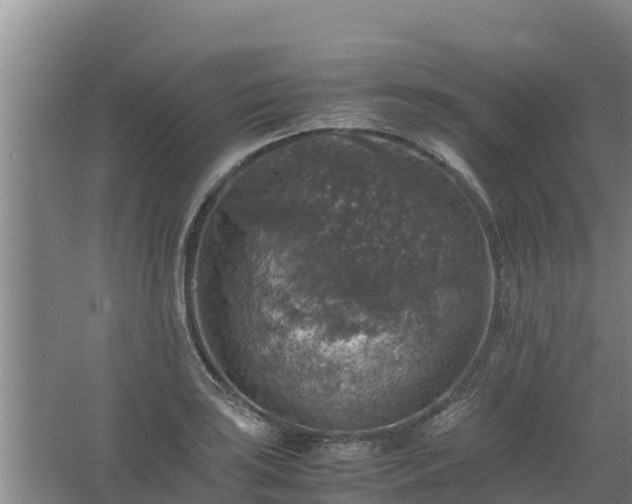 X0000067461035200604142319