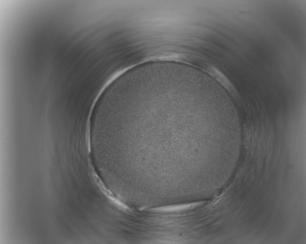 X0000067461036200604142319