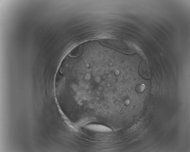 X0000067461039200604142319