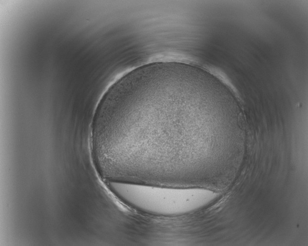 X0000067461040200604142319