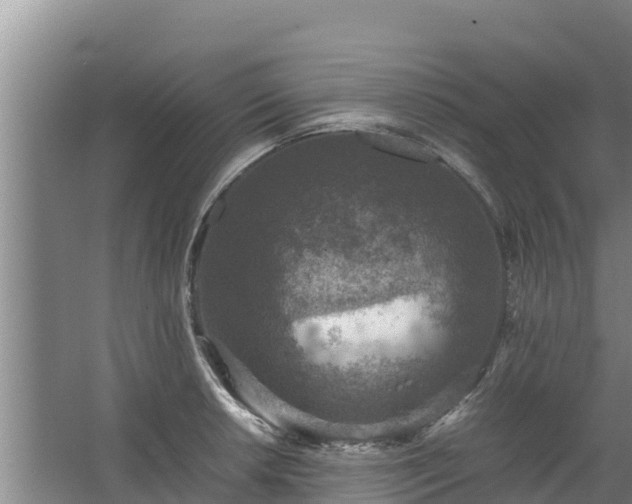 X0000067461042200604142319