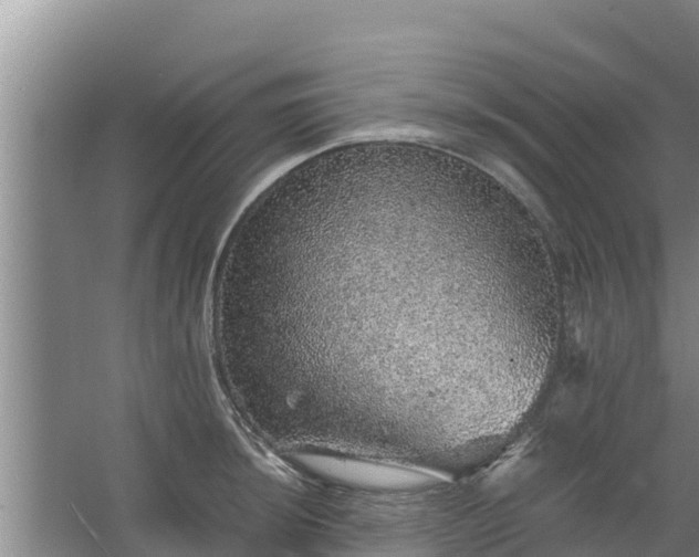 X0000067461044200604142319