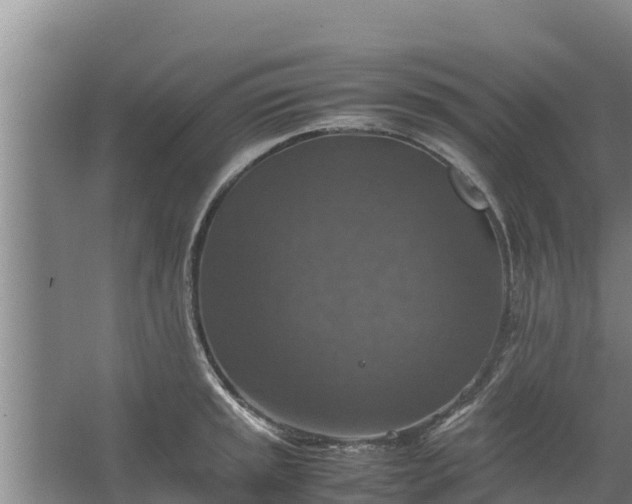 X0000067461045200604142319