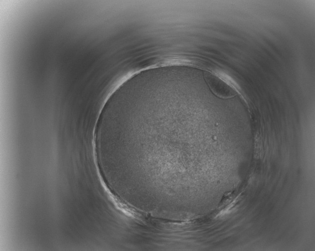 X0000067461047200604142319