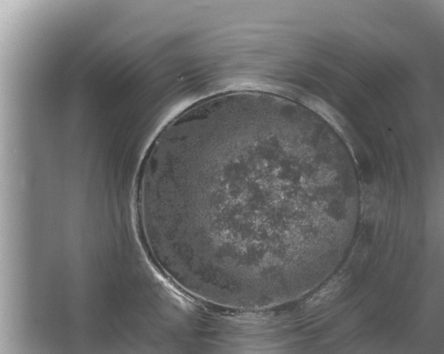 X0000067461048200604142319