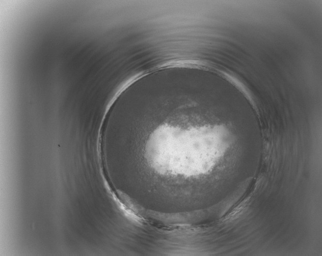 X0000067461050200604142319