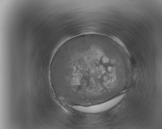 X0000067461051200604142319