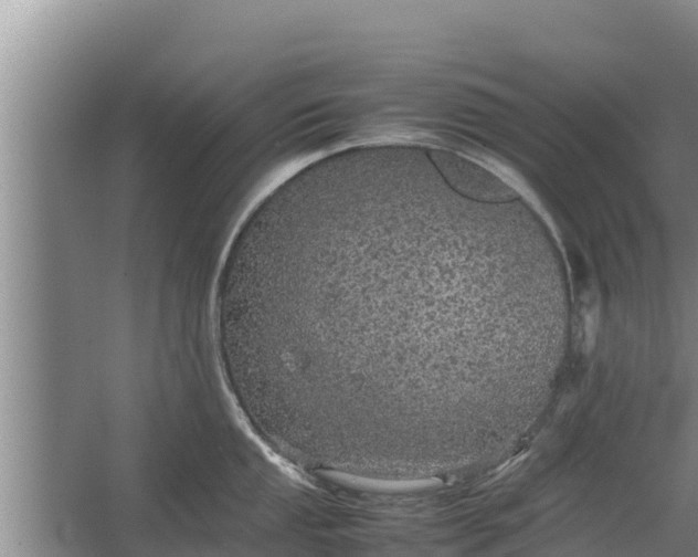 X0000067461053200604142320