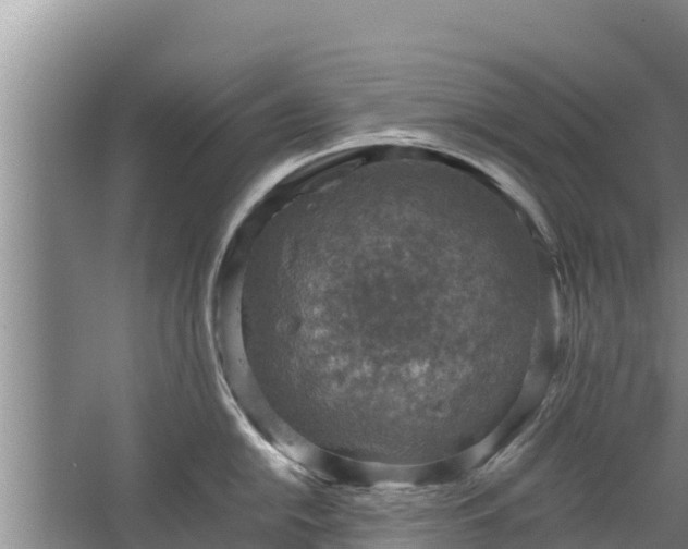 X0000067461054200604142320