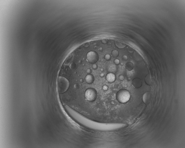 X0000067461055200604142320