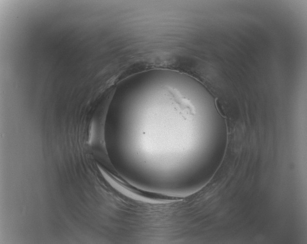 X0000067461058200604142319