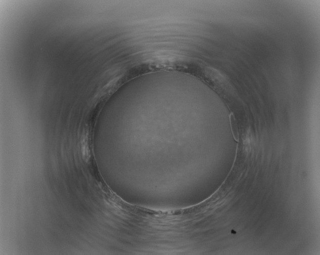 X0000067461060200604142319